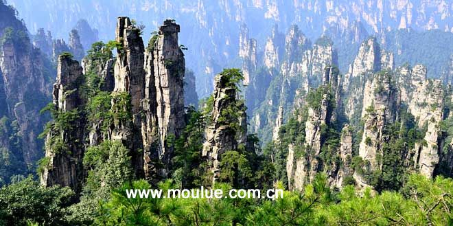 zhangjiajie3.jpg